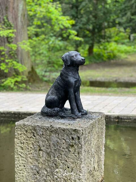 Und repariert. | Foto: Edina Besic