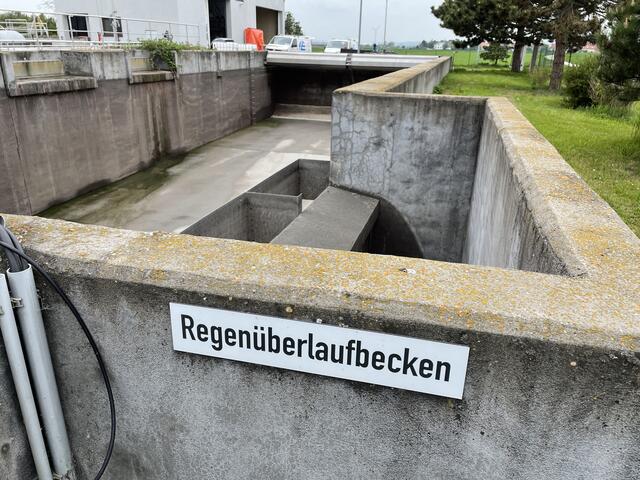 Foto: Seidl