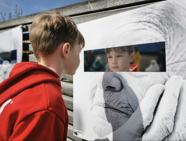 Durch den Spiegel können die Betrachterinnen und Betrachter sich selbst in der Zukunft sehen. | Foto: Mario Sornig