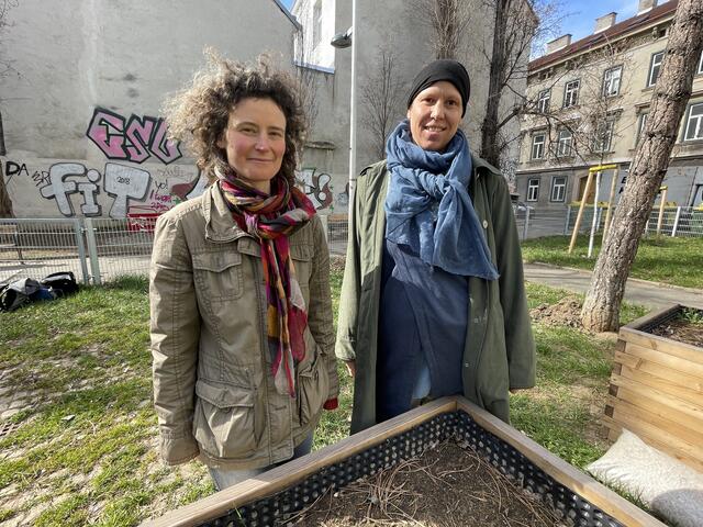 Das Projekt wird u.a. von der Initiative Gartenpolylog umgesetzt.
 | Foto: Patricia Hillinger