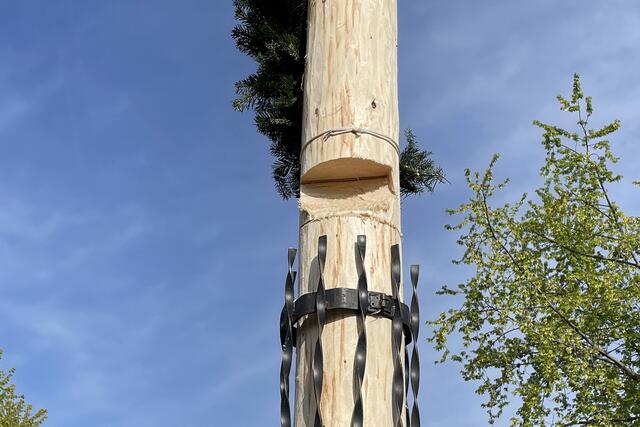 Unbekannte Täter sägten den Maibaum oberhalb des Schutzgitters an. | Foto: Freiwillige Feuerwehr Wiener Neudorf