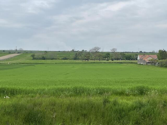 Foto: Seidl