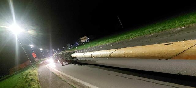Der Maibaum aus Freistadt befindet sich nun in Neufelden. | Foto: Maibaum-Crew