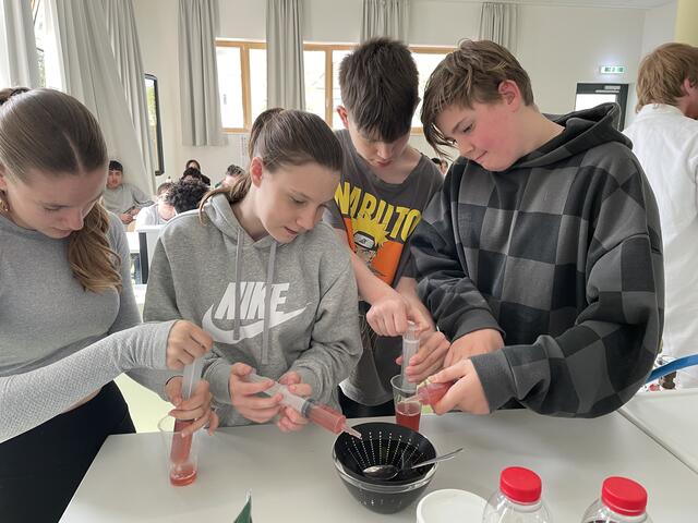 Die Schüler der 4a Klasse: Alina, Anna, Maxi und Ben beim Experimentieren | Foto: WKB