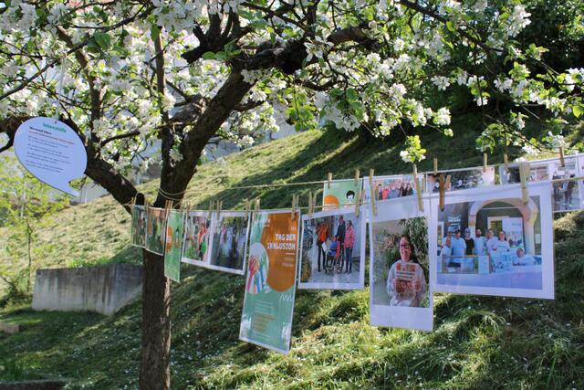 Anlässlich des „Tages der Inklusion" setzen Selbstvertreterinnen und Selbstvertreter in der gesamten Steiermark Zeichen. Im vergangenen Jahr wurde beispielsweise ein Inklusionsbaum in Fürstenfeld gepflanzt.
 | Foto: Lebenshilfe Fürstenfeld