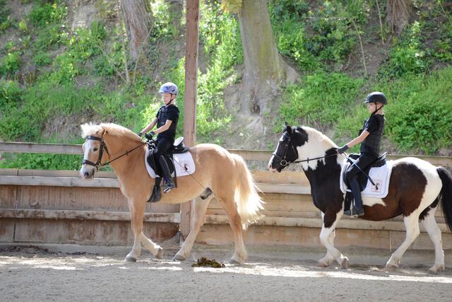 Foto: Dominik Lepizh