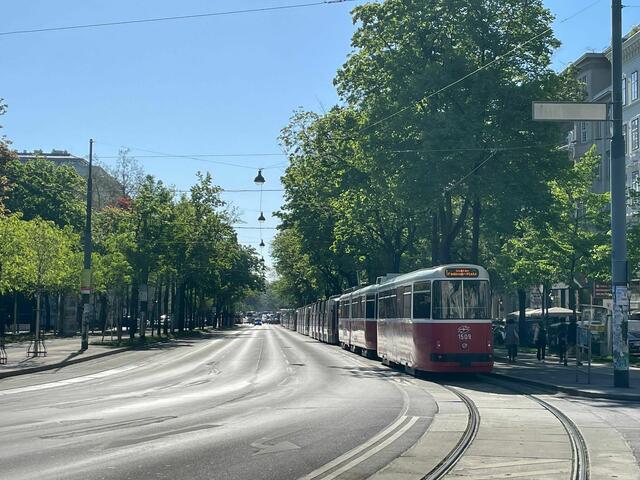 Am Ring herrschte ein regelrechter BIM-Stau.  | Foto: Regionalmedien Wien