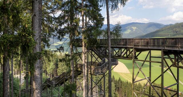 Der Wipfelwanderweg war ein beliebtes Ausflugsziel. | Foto: ORF/Schöttl