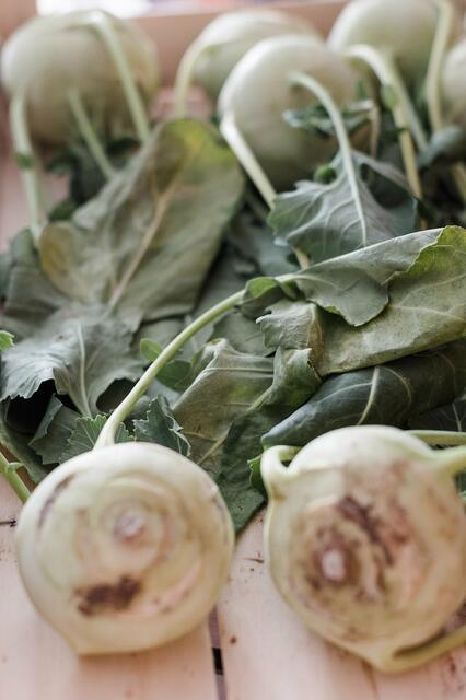 Foto: Flotte Lotte Zwettl