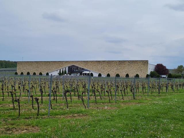 Eichenwald-Weine Besucherzentrum | Foto: Otto Krcal