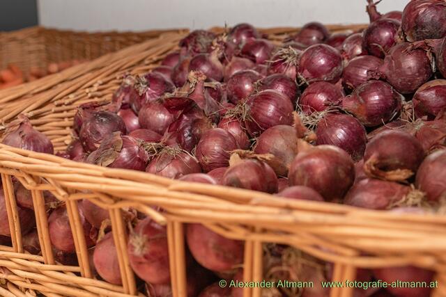 Foto: Fotografie Altmann