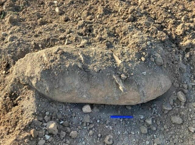 Die aufgefundene Fliegerbombe wurde von Spezialkräften teilentschärft und unter Begleitung der Polizei zum Truppenübungsplatz nach Hölles im Bezirk Wiener Neustadt verbracht. | Foto: LPD Burgenland