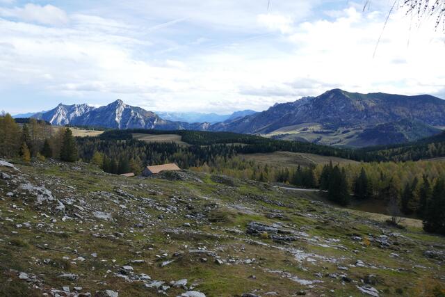 Die Postalm gilt als das größte Almgebiet Österreichs.  | Foto: Thomas Neuhold