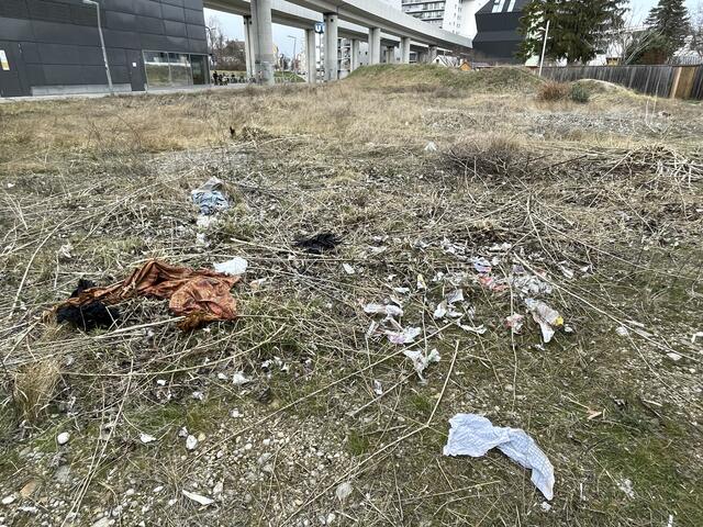 Aktuell liegt das Grundstück brach. | Foto: Privat