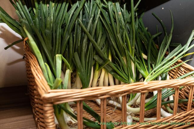 Foto: Fotografie Altmann