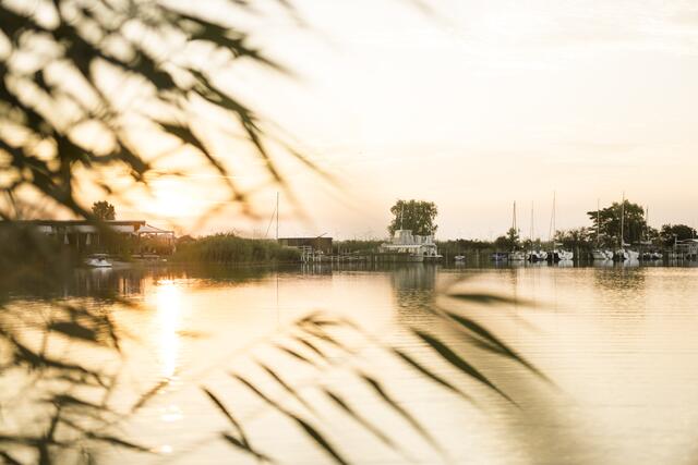 Die Marktgemeinde Jois pocht mit einer Resolution und Demonstration auf die Rettung des Neusiedler Sees. | Foto: Gemeinde Jois