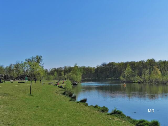 Beliebtes Freizeitziel: So wenig los wie auf diesem Foto ist es bei schönem Wetter auf der Auwiese selten. | Foto: Marie Ott