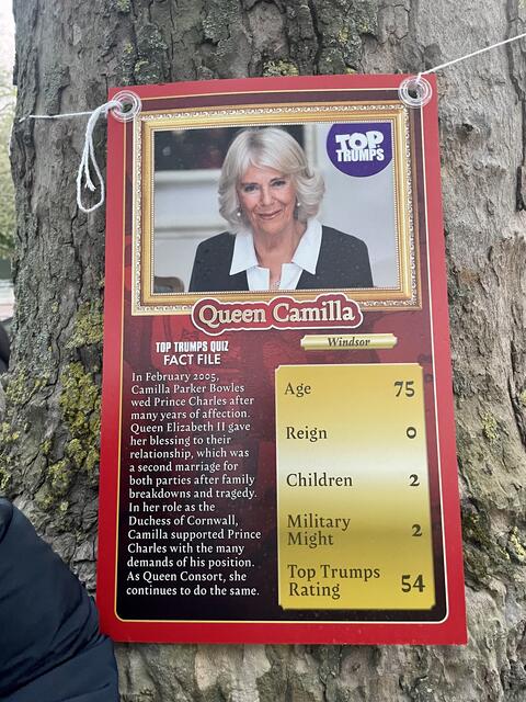 Ein Porträt von Camilla. | Foto: Astrid Hofer