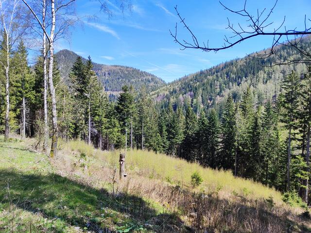 hinten zeigt sich der Sonnwendstein... | Foto: i.Wozonig