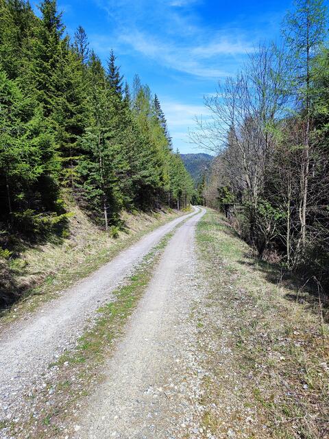 wir zweigen nicht zum Sonnwendstein ab, sondern gehen wieder Richtung Maria Schutz... | Foto: I.Wozonig
