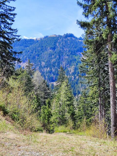 der Erzkogel, Nachbar des Sonnwensteins, ist gut zu sehen... | Foto: I.Wozonig