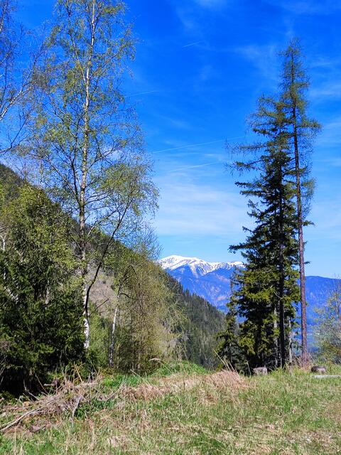der Blick auf die schneebedeckten Berge zeigt sich immer wieder... | Foto: I.Wozonig