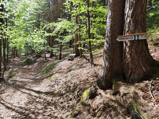 gemütliche Bankerl laden zum Seele baumeln ein... | Foto: I.Wozonig