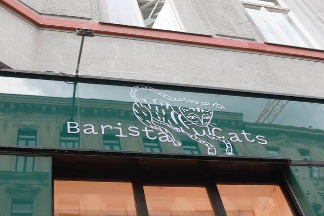 Foto: das neue Katzencafe Baristacats in Wien Neubau Foto@Nicole Kawan
