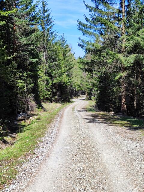 gemütlich geht es die Forststraße voran.. | Foto: I.Wozonig
