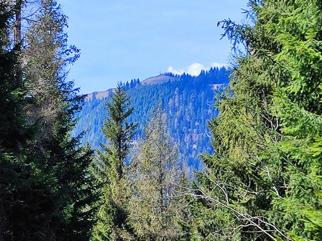 das Gipfelkreuz auf dem Erzkogel... | Foto: I.Wozonig