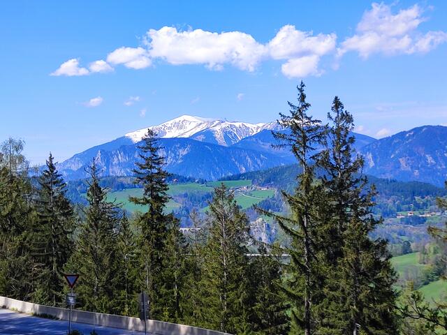 noch einmal den Schneebergblick genießen... | Foto: I.Wozonig