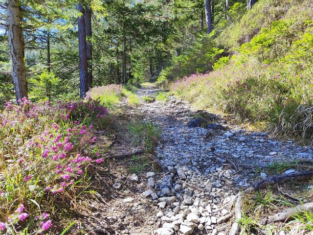 stimmungsvoll... | Foto: I.Wozonig