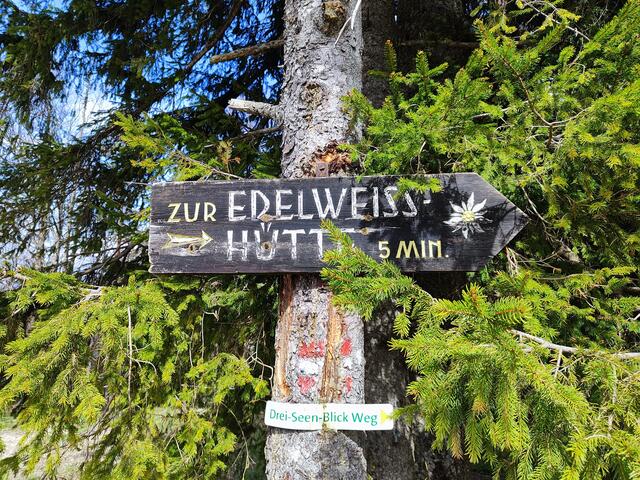 die Edelweißhütte ist auch nur ein paar Minuten entfernt... | Foto: I.Wozonig