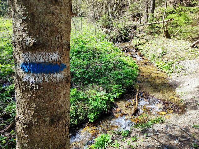 man überquert die Göstritz... | Foto: I.Wozonig