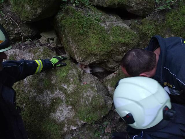 Feuerwehr im Einsatz: Hund steckte in Felsen fest - Steyr & Steyr Land