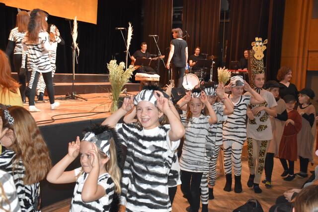 Einmal im Leben ein Zebra sein...