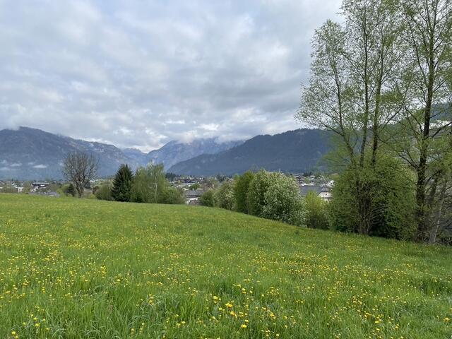 Noch sind die Königgründe in Saalfelden Grünland.
