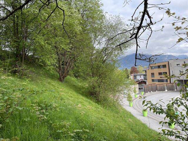 Die zukünftige Verkehrsanbindung zu den Königgründen soll durch das Stadttor, über die Stadtbrücke und dann rechts den Hang hinauf erfolgen. | Foto: Sarah Braun
