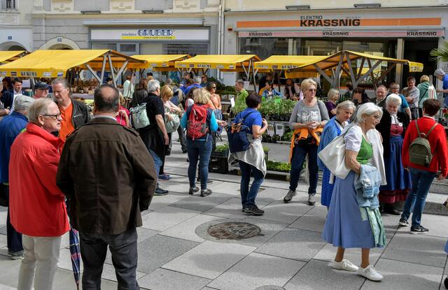 Foto: Gerhard Pulsinger