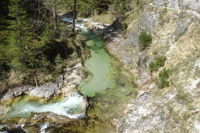 Das smaragdgrüne, glasklare Wasser des Ötscherbaches