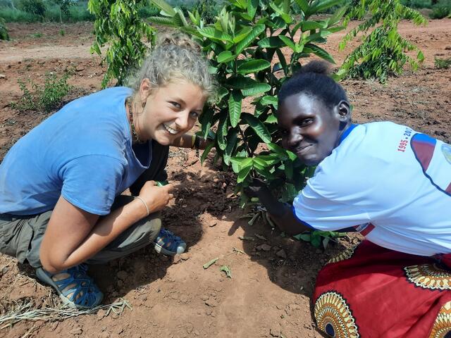 Aufforstungsprojekt in Uganda.