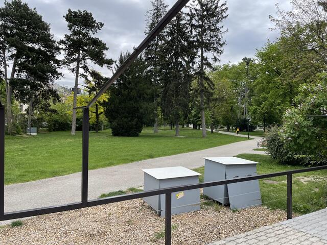 Marie im Park: Die Terrasse wurde umgestaltet. | Foto: sg