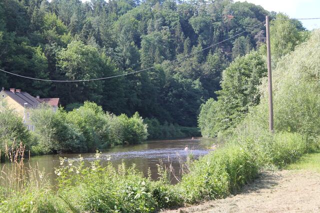 Aistwiese, Schwertberg.