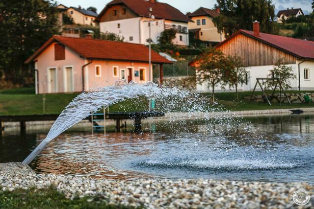 Der Freizeitteich in St. Georgen am Walde. | Foto: Bruno Haneder