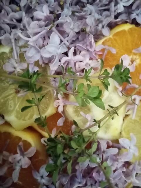 der Fliederblüten-Sirup. Zum Kosten dauert es jetzt noch ein Weilchen.