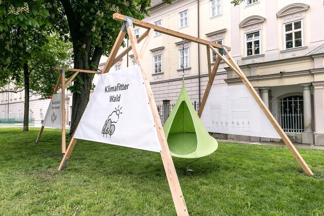 Im Park vor dem Landhaus kann man sich über die Vorteile des nachwachsenden Rohstoffes Holz informieren und nebenbei in einer der Schaukeln eine Pause machen. | Foto: LandOÖ/Tina Gerstmair