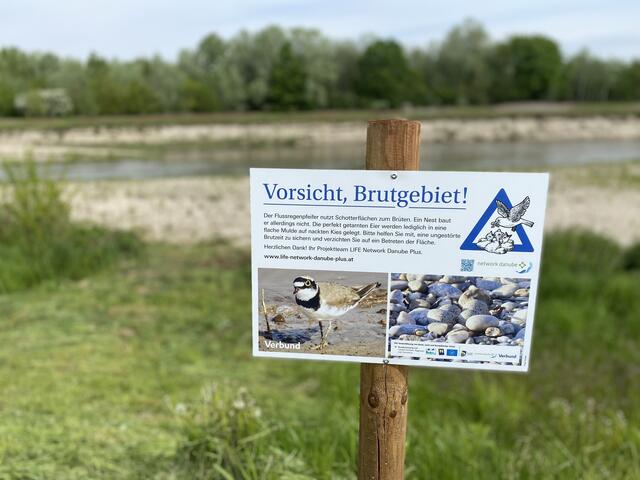 Bitte um Vorsicht! Solche Tafeln weisen auf Brutgebiete hin. | Foto: Verbund