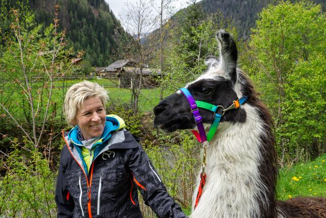 Foto: BFKDO Spittal/Drau