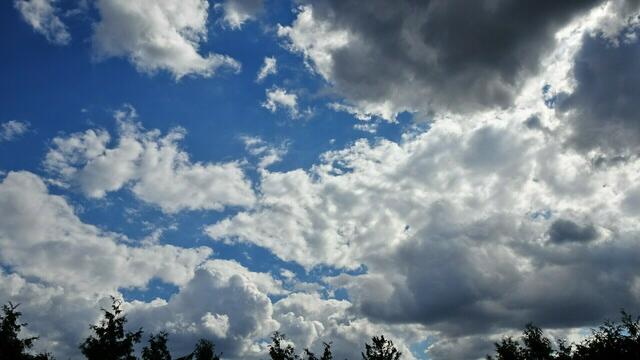 Im Burgenland wird es wieder etwas freundlicher, dennoch sind Regenschauer möglich. | Foto: Silvia Plischek