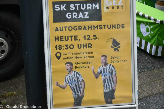 Foto: Gerald Dreisiebner